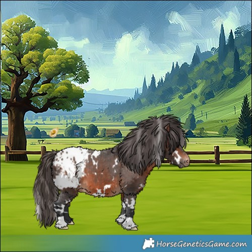 Horse Color:White Spotted Brown Appaloosa 