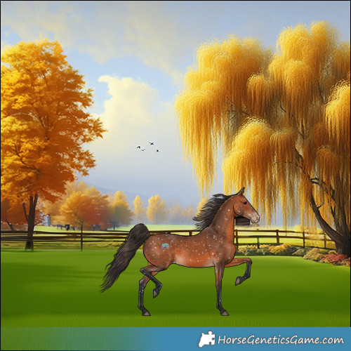 Horse Color:Bay Snowflake Varnish 