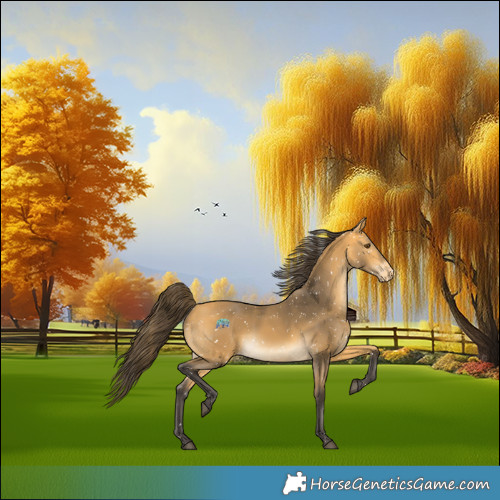 Horse Color:Buckskin Snowflake Varnish Rabicano 