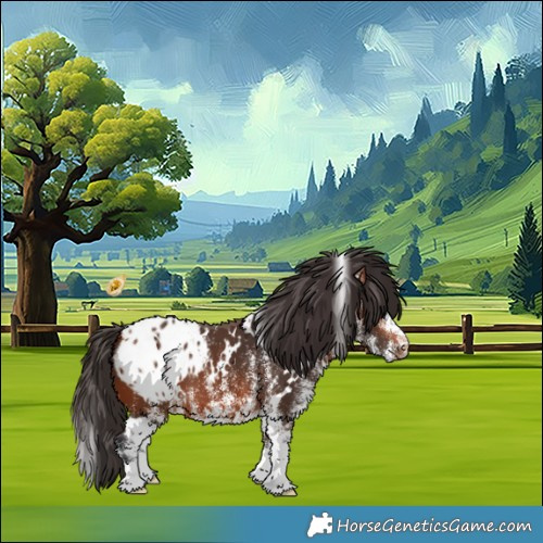 Horse Color:White Spotted Bay Appaloosa 