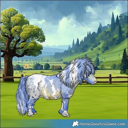 Horse Color:Watercolor White Spotted Bay Appaloosa 