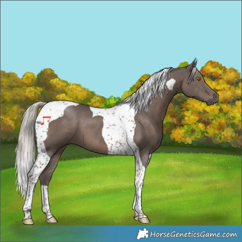 Horse Color:Silver Black Tobiano 