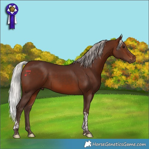 Horse Color:Silver Brown Tobiano 