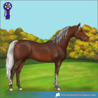 Horse Color:Silver Brown Tobiano 
