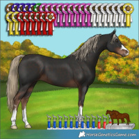 Horse Color:Liver Chestnut 