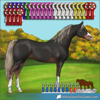 Horse Color:Liver Chestnut 