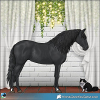 Horse Color:Black Rabicano 