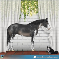 Horse Color:Black Sabino