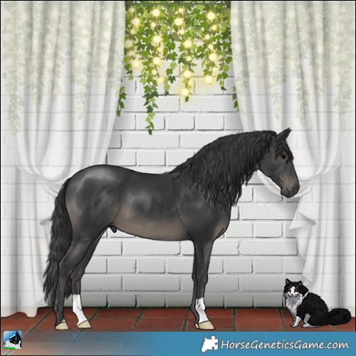 Horse Color:Black Mushroom 