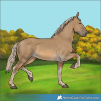Horse Color:Chocolate Palomino Dun 