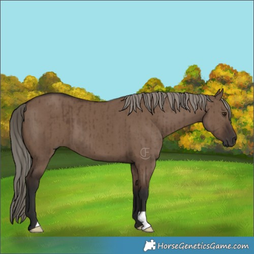 Horse Color:Liver Red Dun Brindle