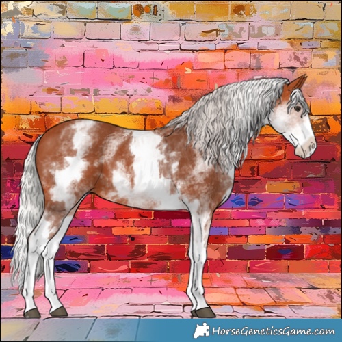 Horse Color:White Spotted Silver Bay Splash 
