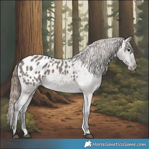 Horse Color:Grullo Blanket 