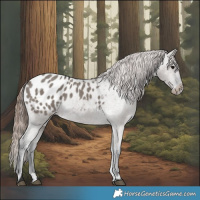 Horse Color:Grullo Blanket