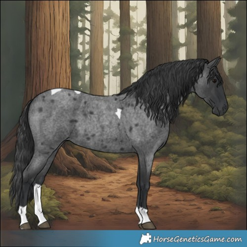 Horse Color:Blue Roan Tobiano 