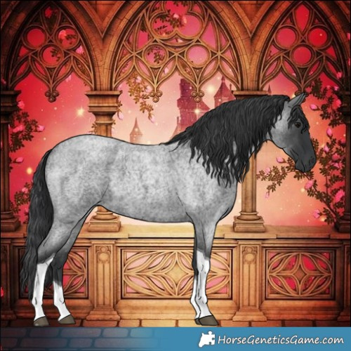 Horse Color:Blue Roan Tobiano 