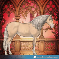 Horse Color:Gold Champagne 