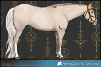 Horse Color:Silver Blue Roan Pearl Tobiano Frame