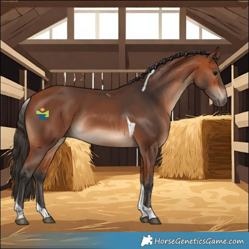 Horse Color:Bay Tobiano Rabicano 
