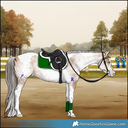 Horse Color:White Spotted Amber Champagne Splash Tobiano 