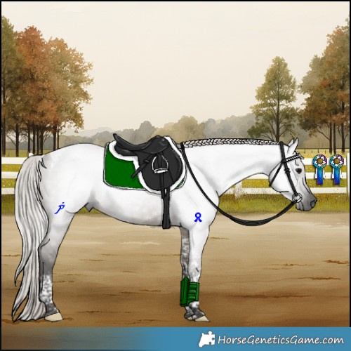 Horse Color:Gray Silver Grullo Tobiano 