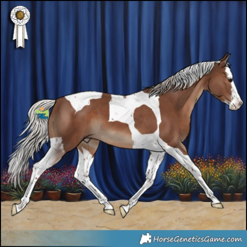 Horse Color:Silver Black Splash Tobiano 