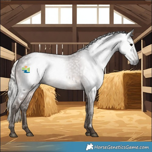Horse Color:Gray White Spotted Silver Black 