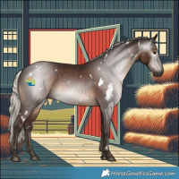 Horse Color:Gray White Spotted Silver Black 
