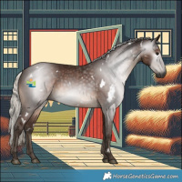 Horse Color:Gray White Spotted Silver Black 