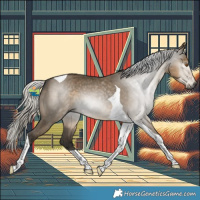 Horse Color:Gray Silver Smoky Grullo Tobiano
