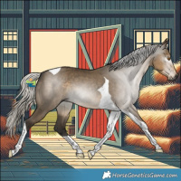 Horse Color:Gray Silver Smoky Grullo Tobiano 