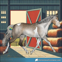 Horse Color:Gray Silver Smoky Grullo Tobiano 