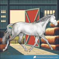 Horse Color:Gray Silver Smoky Grullo Tobiano 