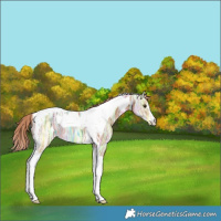 Horse Color:Chestnut Ice Tobiano 
