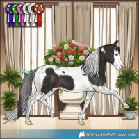 Horse Color:Liver Chestnut Splash Tobiano 