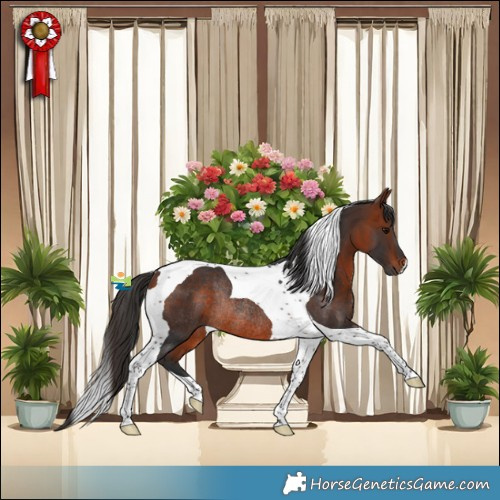 Horse Color:Bay Tobiano Rabicano 