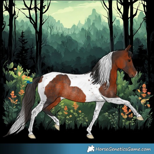 Horse Color:Bay Tobiano Rabicano 