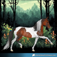 Horse Color:Bay Tobiano Rabicano