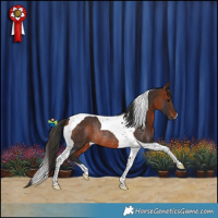 Horse Color:Bay Tobiano Rabicano