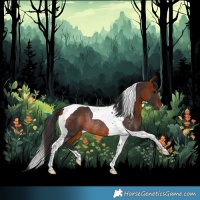 Horse Color:Bay Tobiano Rabicano 