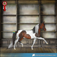 Horse Color:Bay Tobiano Rabicano 