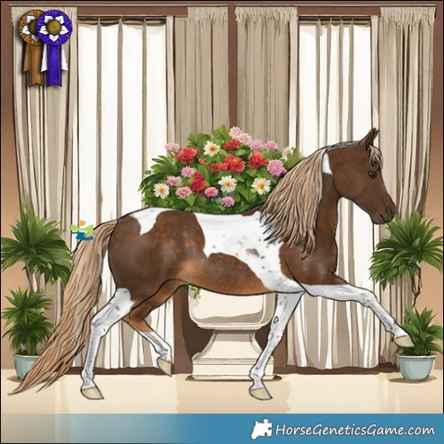 Horse Color:Chocolate Palomino Tobiano Rabicano 