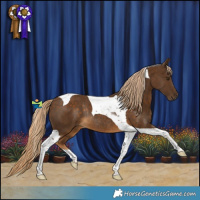 Horse Color:Chocolate Palomino Tobiano Rabicano 