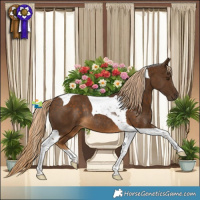 Horse Color:Chocolate Palomino Tobiano Rabicano 