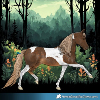 Horse Color:Chocolate Palomino Tobiano Rabicano