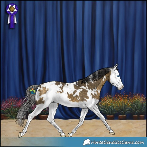 Horse Color:White Spotted Buckskin Dun Splash 