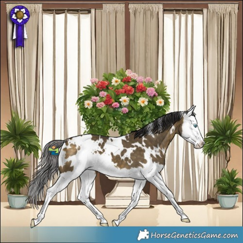 Horse Color:White Spotted Buckskin Dun Splash 