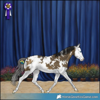 Horse Color:White Spotted Buckskin Dun Splash 