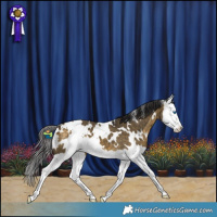 Horse Color:White Spotted Buckskin Dun Splash 