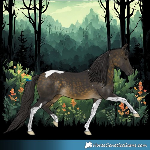 Horse Color:Buckskin Tobiano 